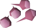 Four pink rose seeds