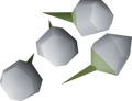 Four snowdrop seeds