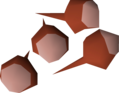 Four red rose seeds