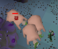 An example of a player using other mutated bloodveld as a blockade to safespot.