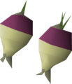 Two shrunk ogleroots