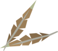 Two eagle feathers