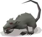 A giant rat variant.