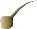 One onion seed