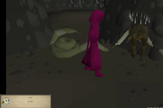 The Tears of Guthix revive Zanik.
