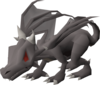 Baby black dragon