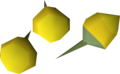 Three yellow orchid seeds