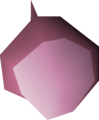 One pink rose seed