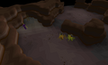 The maze level of the dungeon.