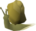 Ochre Blamish Snail, level 10