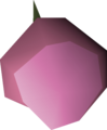 One pink orchid seed
