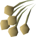 Five onion seeds
