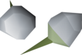 Two snowdrop seeds