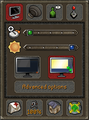 Display options interface