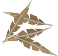 Four eagle feathers
