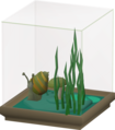 The Giant Snail (Achatina Acidia Giganteus)
