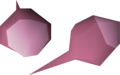 Two pink rose seeds