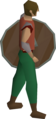 Brown shoes