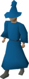 A player wearing blue wizard robes.