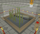 The Snake (Serpentes Fellis)