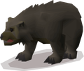 Grizzly bear cub, level 33/36