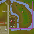 Castle Wars entrance