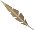 One eagle feather