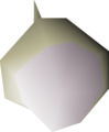 One white rose seed