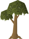 20 March 2024 – present