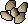 Barley seed.png: Tortoise drops Barley seed with rarity 1/181 in quantity 4