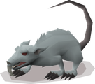 A giant rat variant.