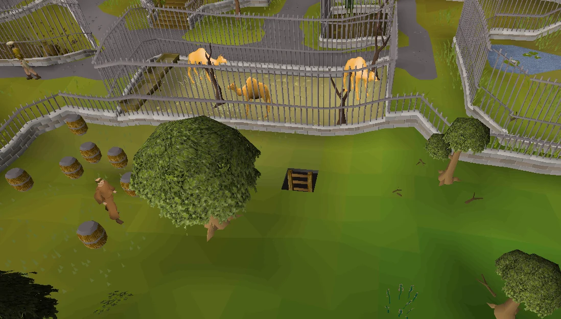 The ladder, just behind the camel cage.