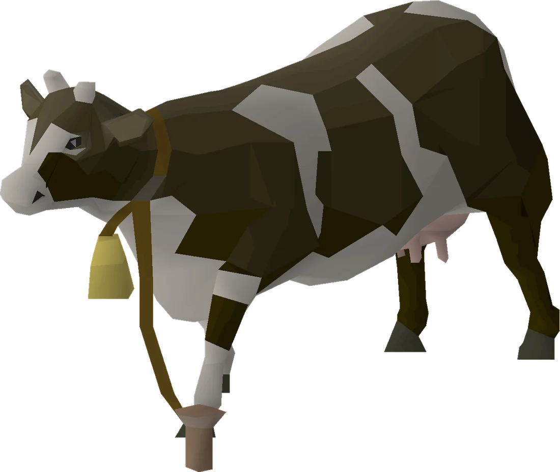 A dairy cow is distinguished by its cowbell. Use an empty bucket to collect milk.