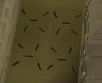 Floor trap