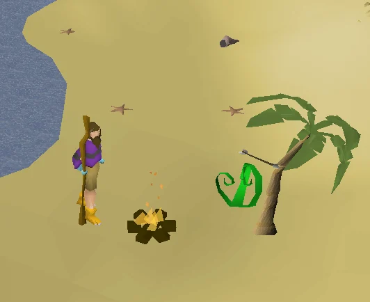 The location you need to make the fire.